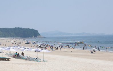 韩国兴起海滩“淘金”热