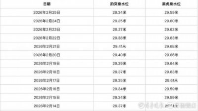 趵突泉水位创近十年同期新高，“观泉品泉” 成