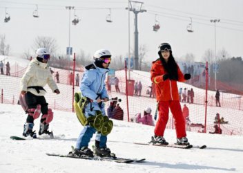 向“内”生长，增量提质！山东大力推进全方位
