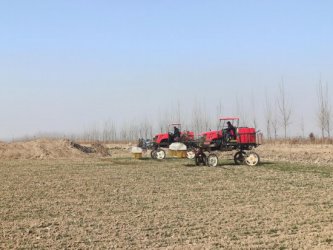 山东“农技壮苗”在行动，盐碱地里抢春光