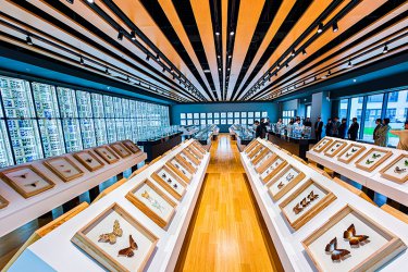 南中轴地区首个博物馆开馆&nbsp;北京市自然昆虫